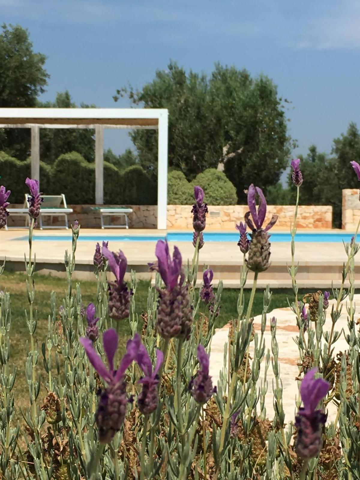 Trullo Amato With Exclusive Pool * Roma