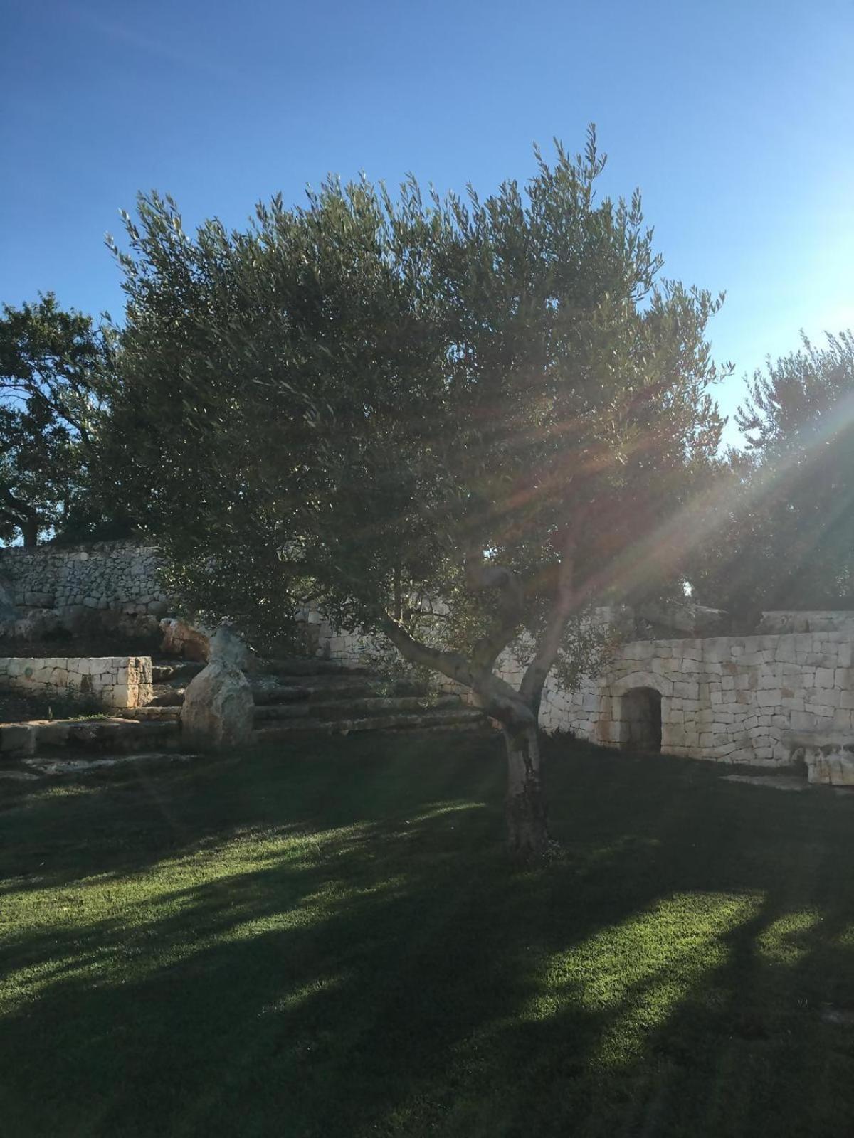 Trullo Amato With Exclusive Pool Villa